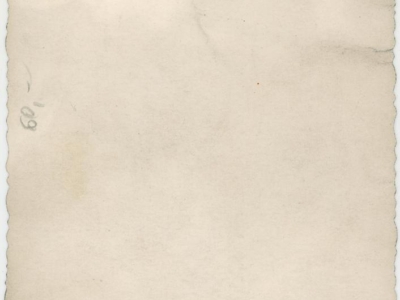 Kolekcja Witolda Gudysia