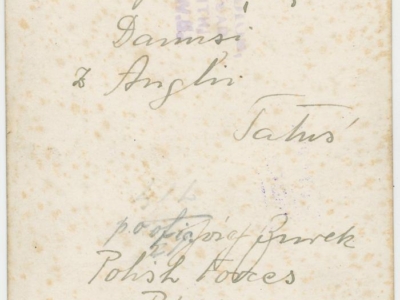 Kolekcja Witolda Gudysia