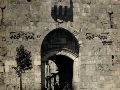 Kolekcja Marii Sobolewskiej