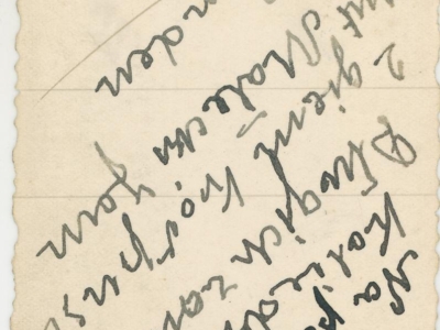 Kolekcja Witolda Gudysia