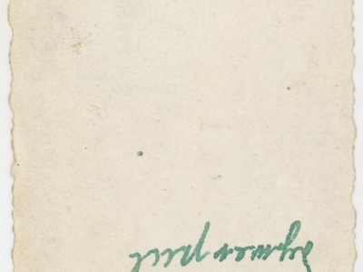 Kolekcja Witolda Gudysia