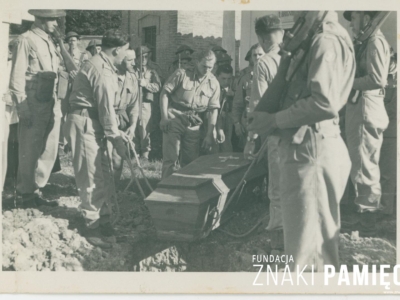 Kolekcja Witolda Gudysia