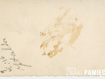 Kolekcja Witolda Gudysia