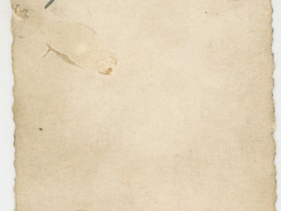 Kolekcja Witolda Gudysia