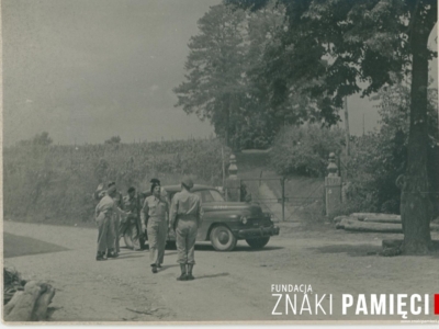 Kolekcja Witolda Gudysia