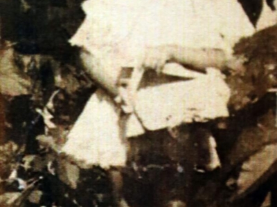 Kolekcja Marii Sobolewskiej